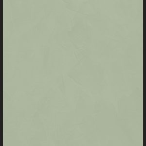 Policroma Cornice Lichene Matte 6mm 120 x 240