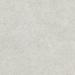 Brunswich Ceniza Matte 10mm 60 x 120