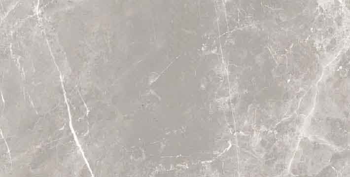 Elemental Stone Grey Dolomia Matte 10mm 30 x 60