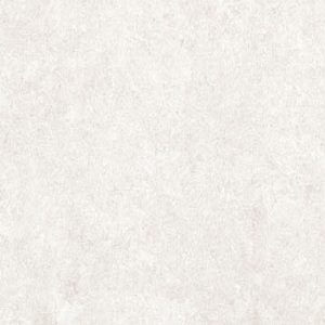 Elemental Stone White Sandstone Matte 10mm 30 x 60