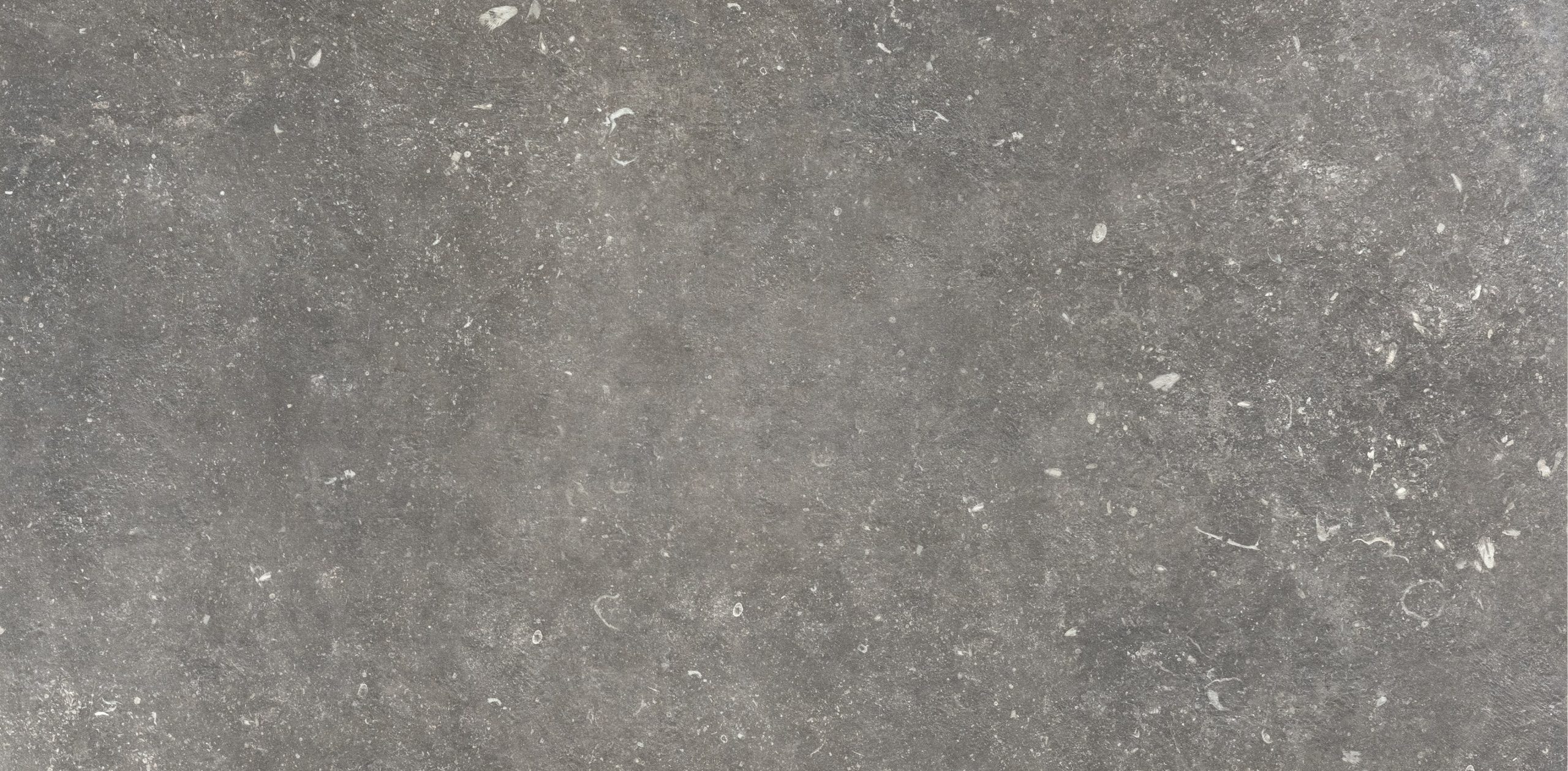 20220203134034230 30169