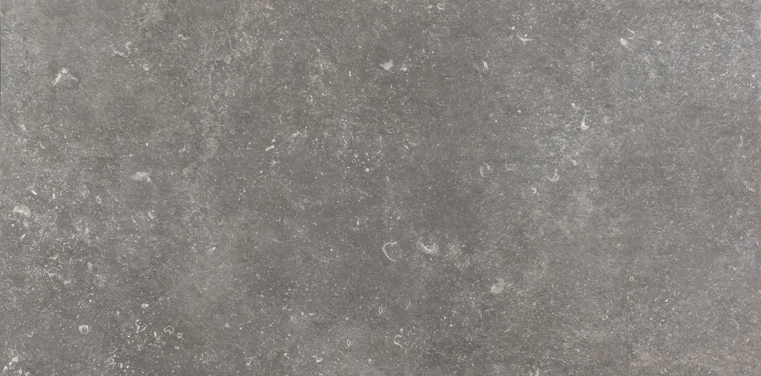 20220203134322147 30170