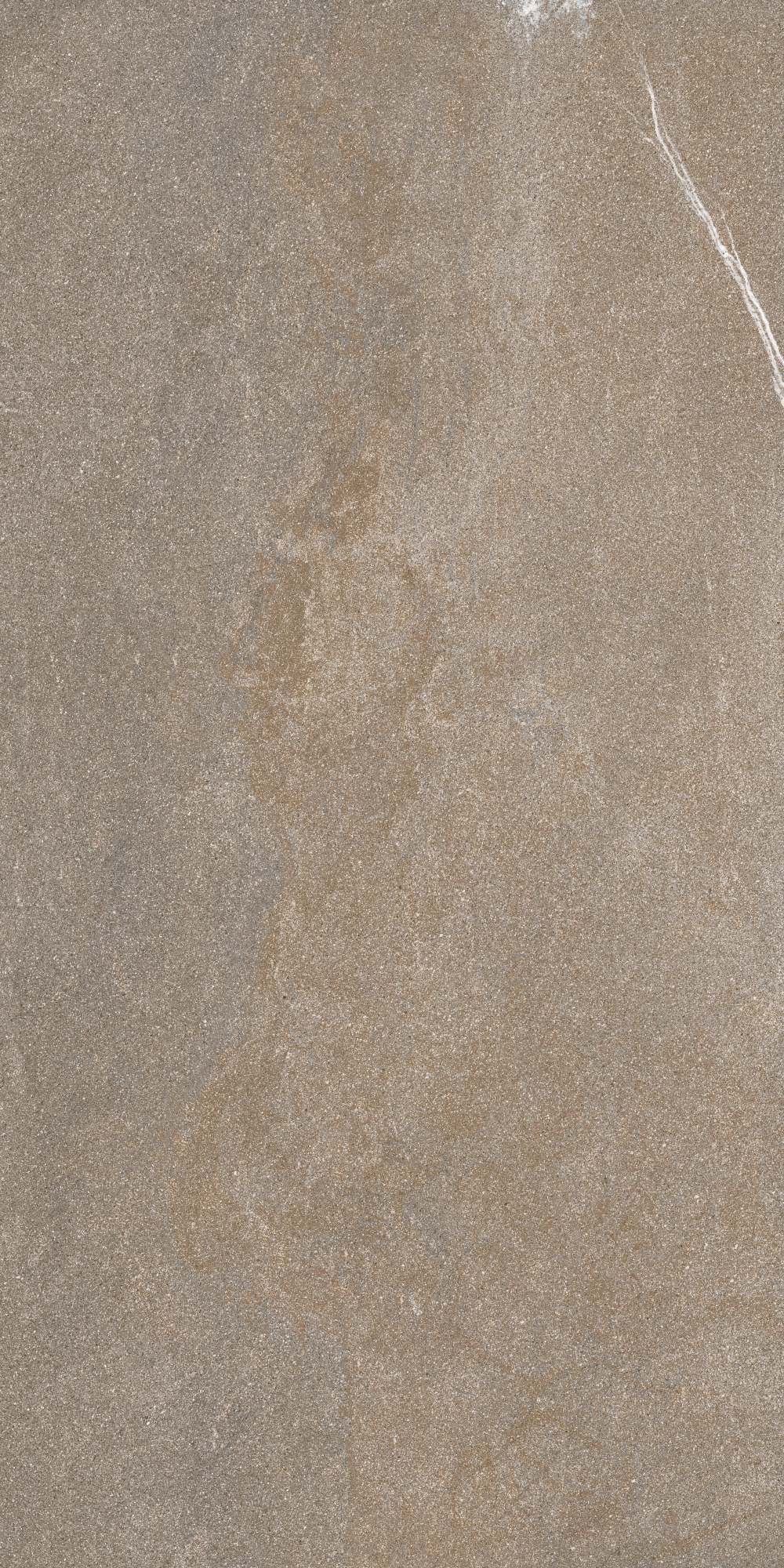 20250402150155267 36024