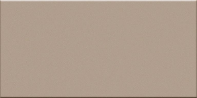 System IN Tortora Matte 8.5mm 20 x 40 cm