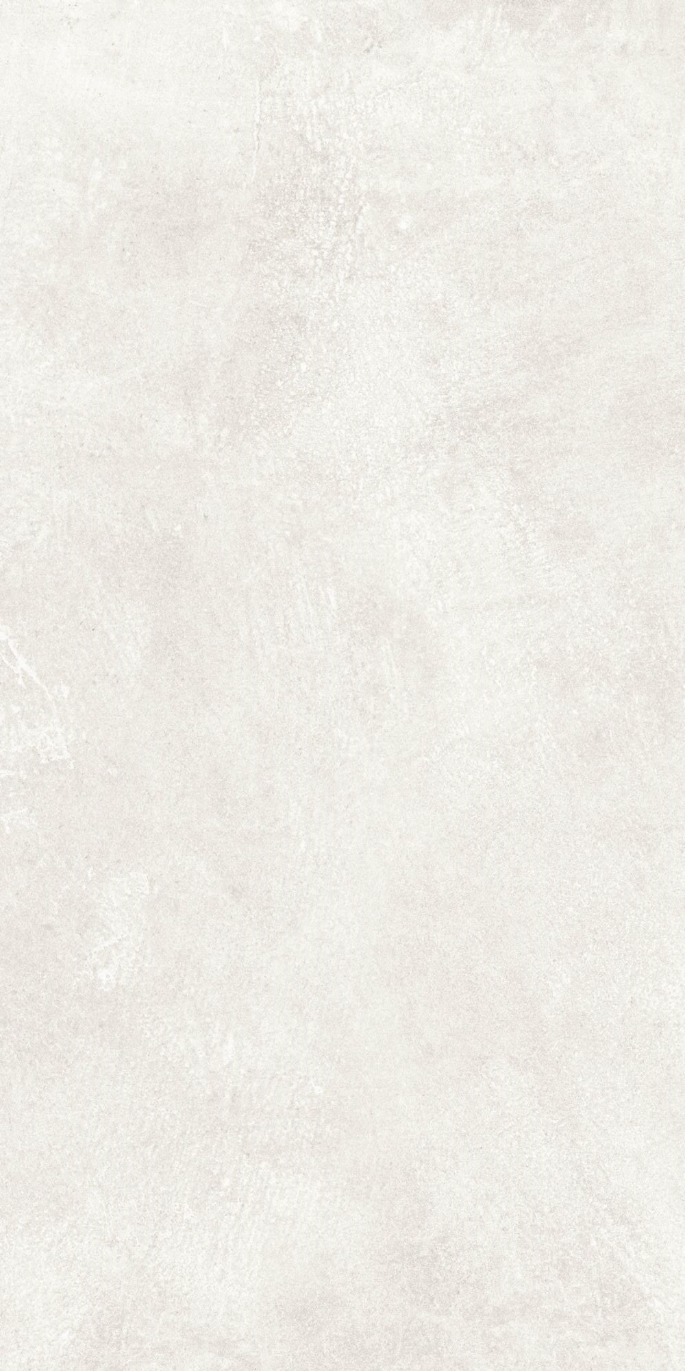 20260216113243837 43975