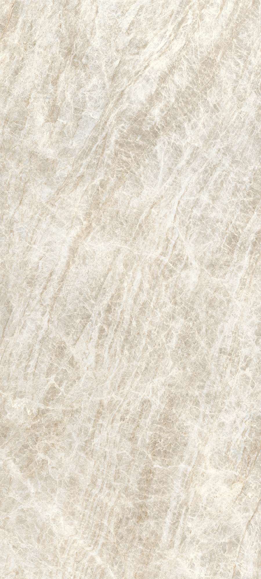 20260304093221530 41971