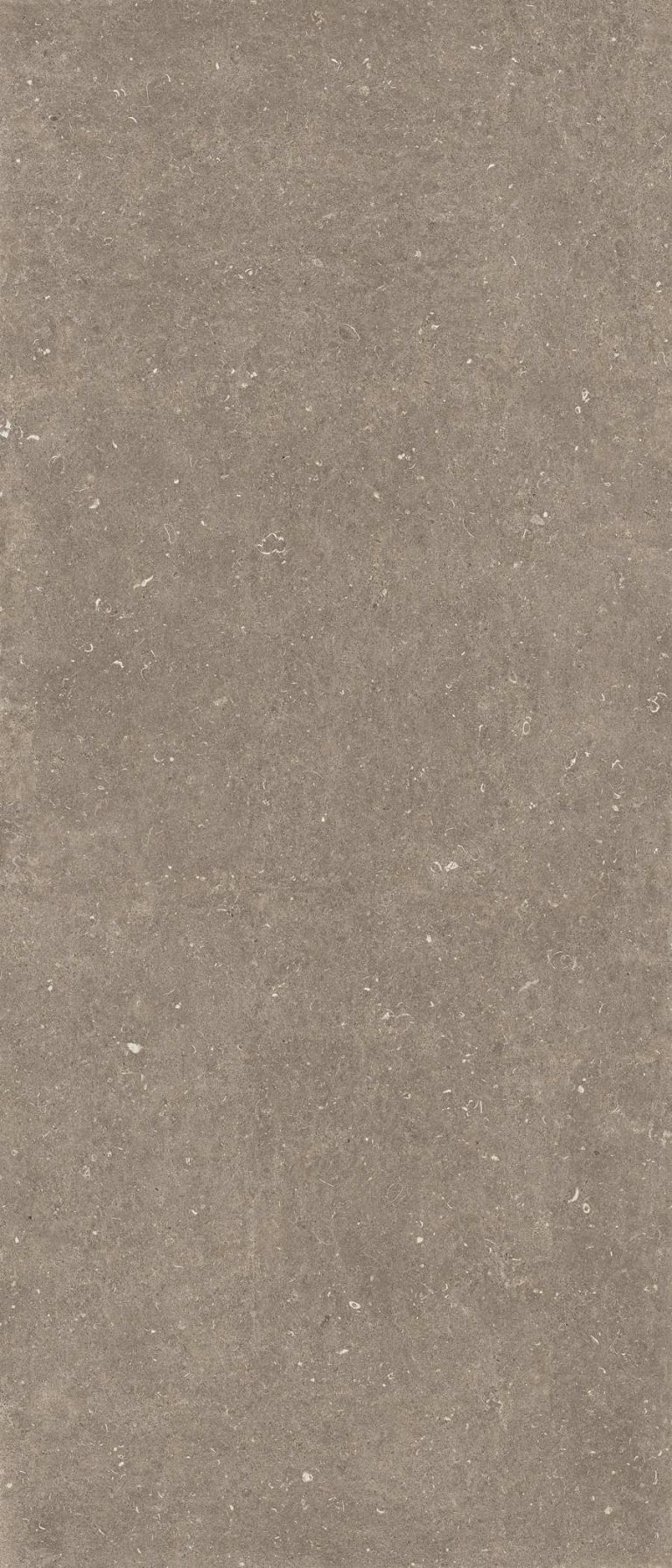 Rinascenza Arena Pietra Matte R10 6mm 120 x 280 cm