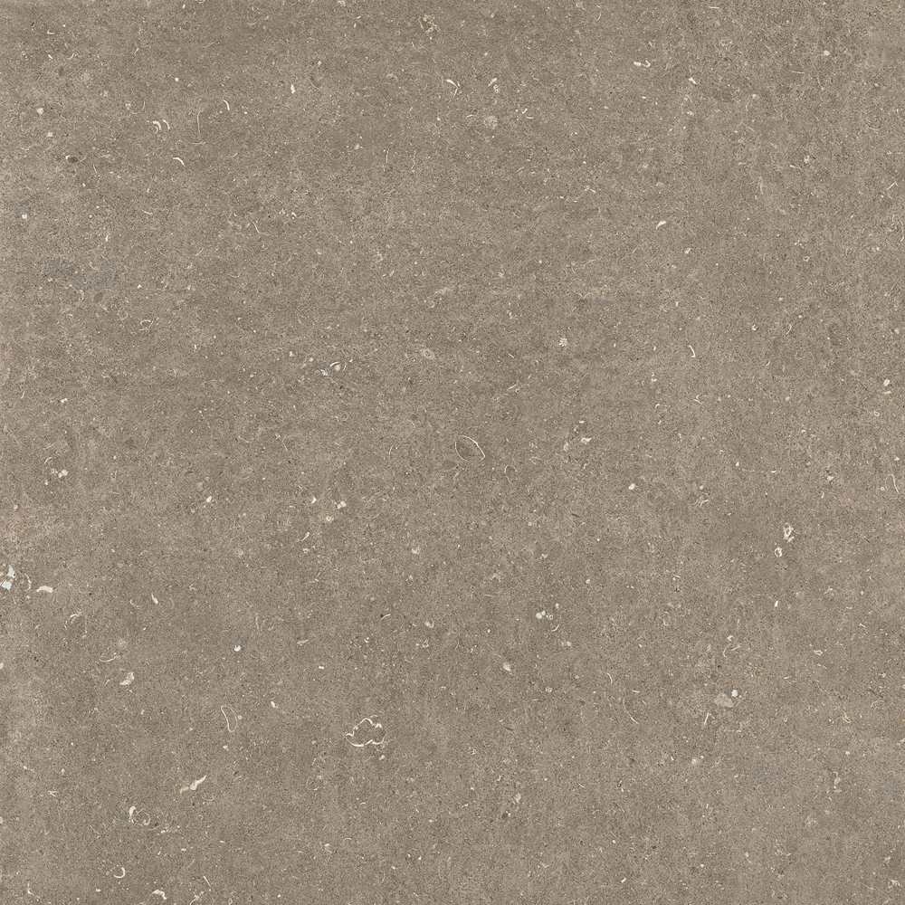 20260304152312630 42052