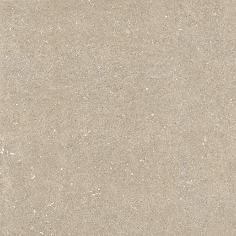 20260304152316443 42051