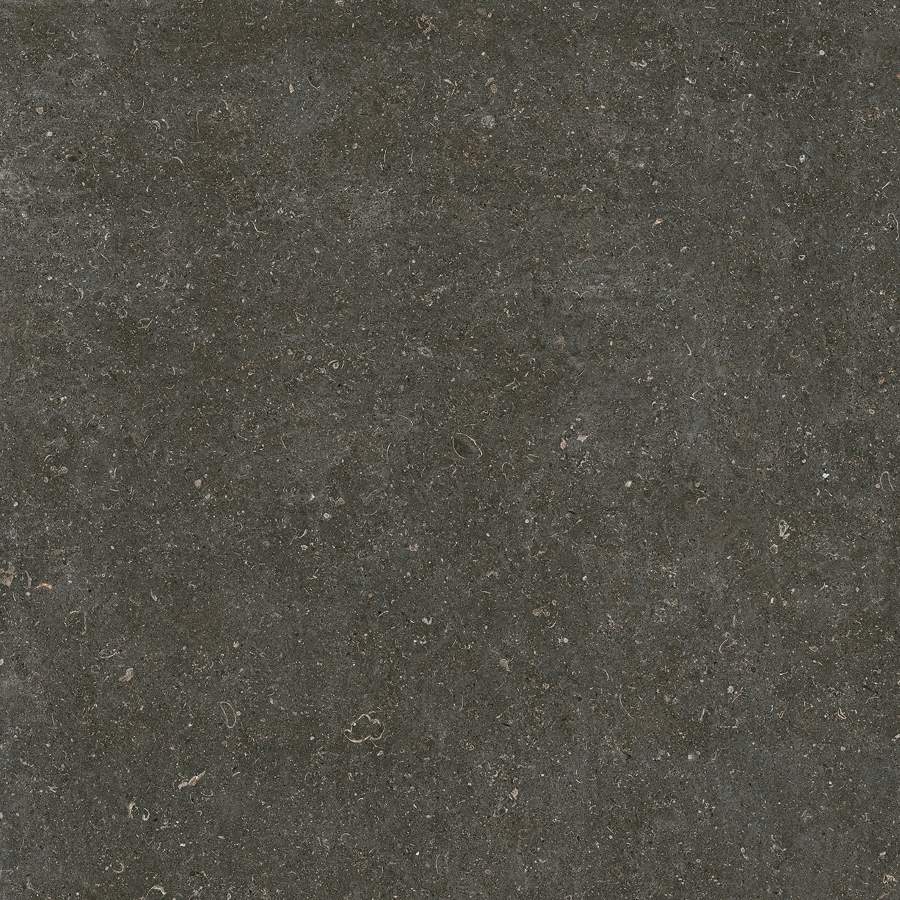 20260304153235513 42053