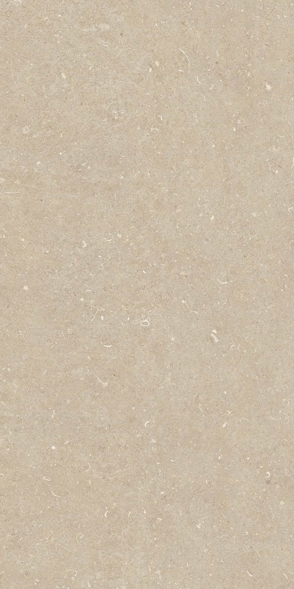 20260304161226893 42068