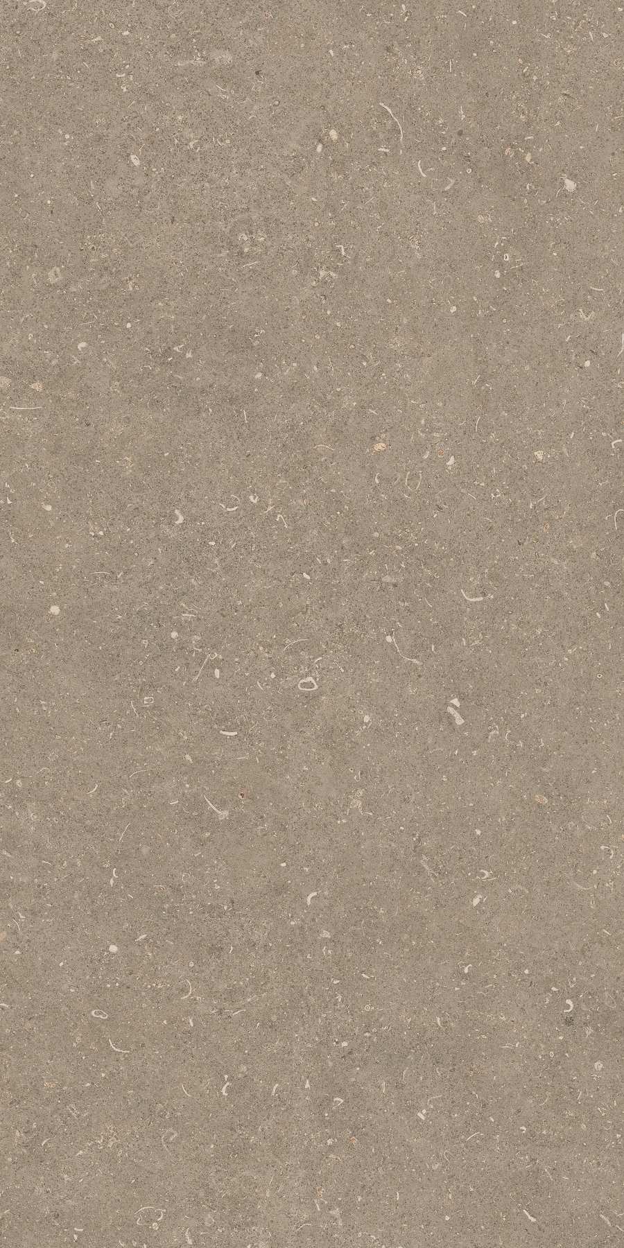 20260304162227433 42074