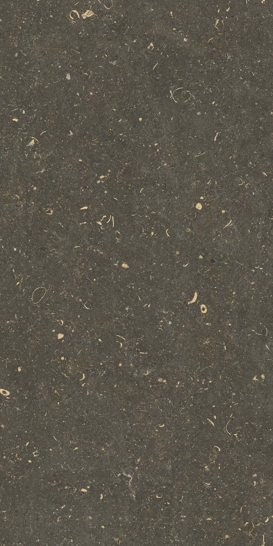 20260304162230640 42075